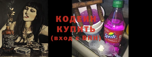 дмт Бородино