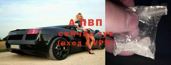 дмт Бородино