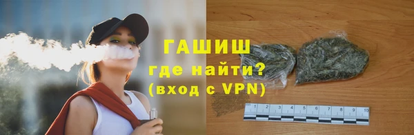 дмт Бородино