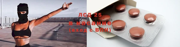 прущие грибы Богородск