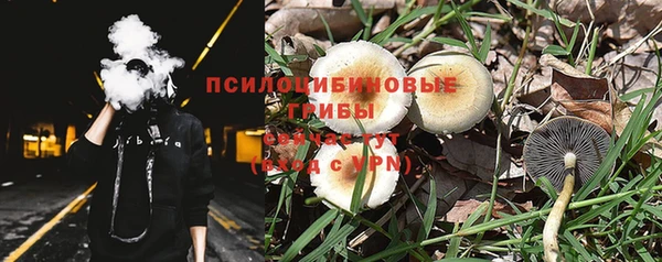 дмт Бородино