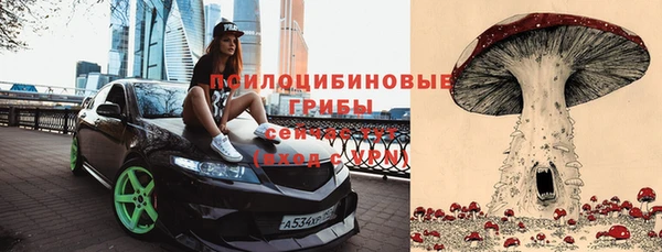 бошки Бугульма