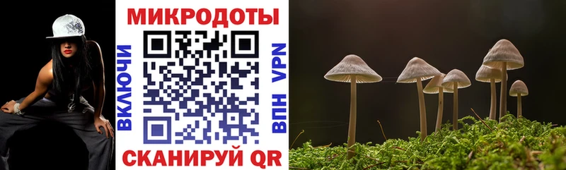 Галлюциногенные грибы Psilocybine cubensis  маркетплейс клад  Каргат 